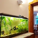 Klimatyczne 95m2 W Sercu Gdanska דירה גדנסק